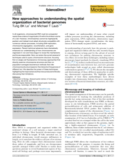 New approaches to understanding the spatial organization of