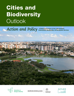 Cities and Biodiversity Outlook
