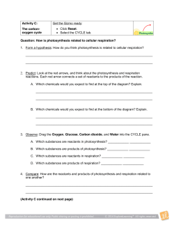 Gizmo- Cell Energy Cycle Worksheet