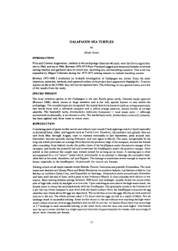 galapagos sea turtles - Charles Darwin Foundation