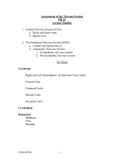 Student nervous system