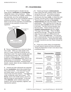 31—Invertebrates - Education World