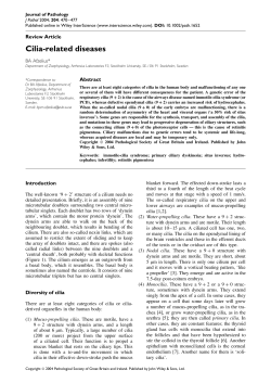 Cilia-related diseases