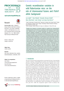 Genetic recombination variation in wild Robertsonian mice: on the