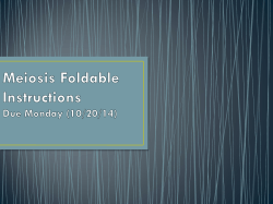 Meiosis Foldable Instructions