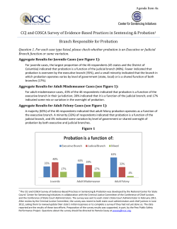 Branch Responsible for Probation - National Center for State Courts