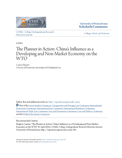 China`s Influence as a Developing and Non