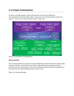 2.11 Simple Carbohydrates.docx