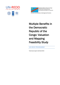 Multiple Benefits in the Democratic Republic of the Congo: Valuation