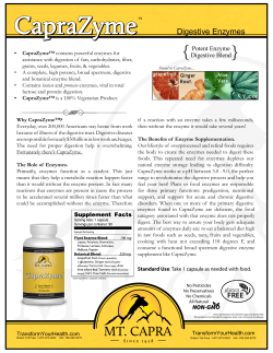Digestive Enzymes
