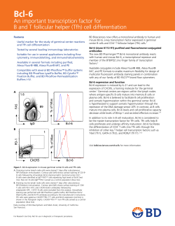 Bcl-6 - An important transcription factor for B and T follicular helper