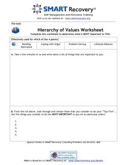 Hierarchy of Values Worksheet
