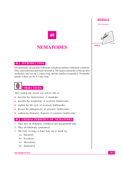 Lesson 40. Nematode