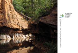 Northern Arizona Forest Fund