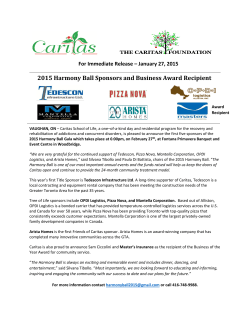 2015 Harmony Ball Sponsors and Business Award Recipient