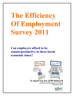 The Efficiency of Employment Survey 2011