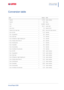 PDF - Raport Roczny 2008