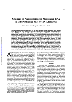 Changes in Angiotensinogen Messenger RNA in