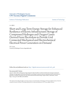 Short and Long Term Energy Storage for Enhanced Resilience of