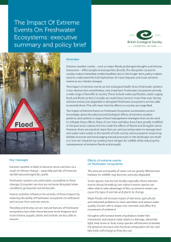 executive summary and policy brief