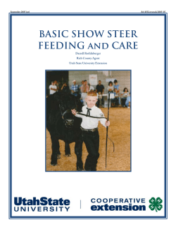 BASIC SHOW STEER FEEDING and CARE - 4-H