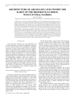 architecture of air-filled caves within the karst of the brooksville ridge