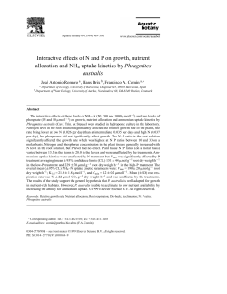 Interactive effects of N and P on growth, nutrient allocation and NH4