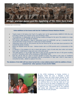 Lion and tiger bone trade