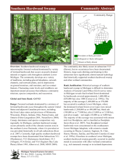 Southern Hardwood Swamp - Michigan Natural Features Inventory