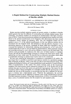 A Rapid Method for Constructing Multiply Marked