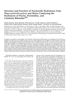 Structure and Function of Nucleoside Hydrolases