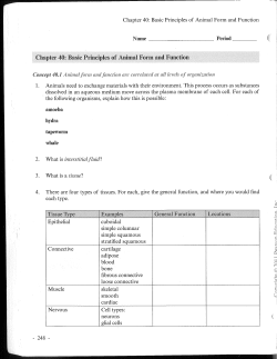 Ch. 40 reading guide