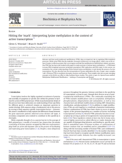 Hitting the `mark`: Interpreting lysine methylation in the context of