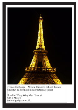 France Exchange &ndash; Neoma Business School, Rouen (Institut de