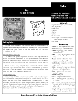 Pigs by - Tennessee Farm Bureau