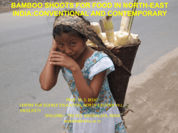 BAMBOO SHOOTS FOR FOOD IN NORTH