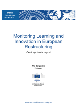 IRENE Policy paper no 13 synthesis report 141104