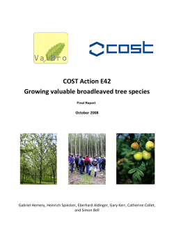 COST Action E42: Growing valuable broadleaved tree species. Final