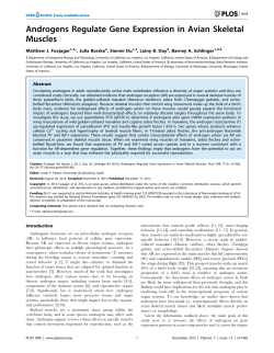 Androgens Regulate Gene Expression in Avian Skeletal Muscles