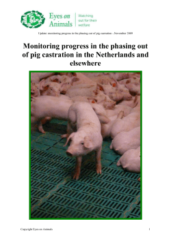 2009 Update report of pig castration in NL