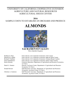 Sample Costs to Establish an Orchard and Produce Almonds
