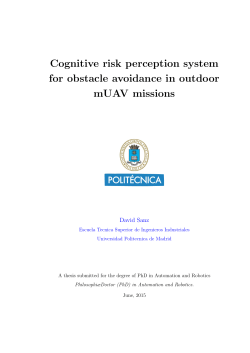 Cognitive risk perception system for obstacle avoidance in outdoor