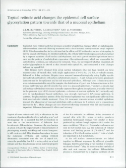 Topical retinoic acid changes the epidermal cell surface