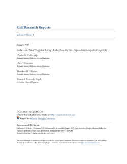 Early Growth in Weight of Kemp`s Ridley Sea Turtles (Lepidochelys