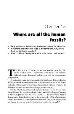 Chapter 15 Where are all the human fossils?