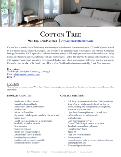 Cotton Tree Information