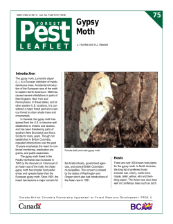 Gypsy Moth - The University of British Columbia