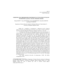 Screening of B chromosomes for presence of two genes