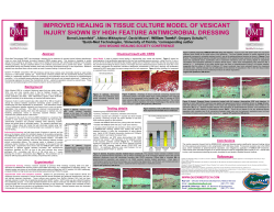 improved healing in tissue culture model of vesicant injury shown by