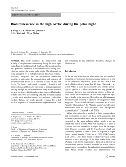 Bioluminescence in the high Arctic during the